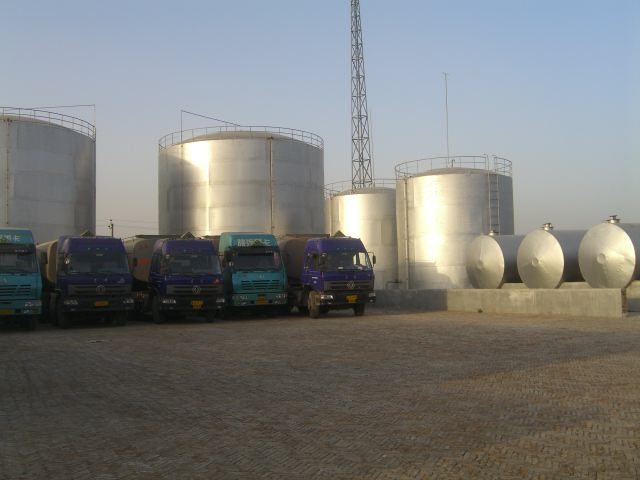 P . 山東三岳化工