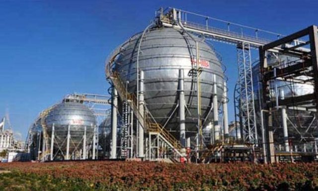 P . 新疆中泰化學股份